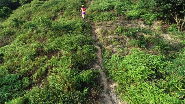 一位超级马拉松选手在热带雨林的山坡上奔跑的鸟瞰图，4k