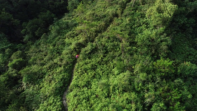 鸟瞰图的女人超级马拉松赛跑累了，在热带雨林的山坡上休息，4k