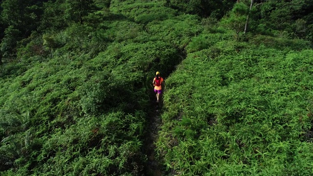 一位超级马拉松选手在热带雨林的山坡上奔跑的鸟瞰图，4k