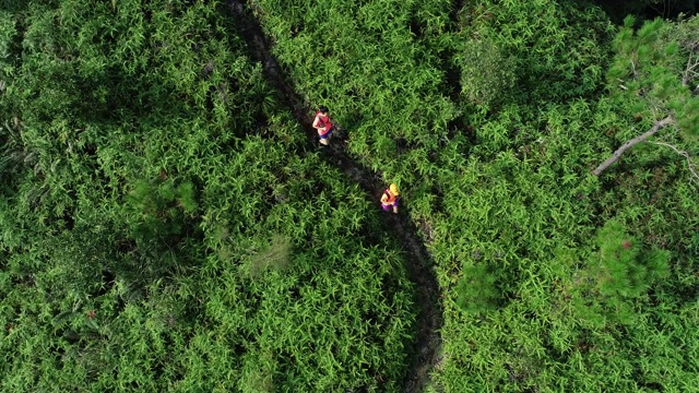 两名女性朋友在热带雨林的山坡上跑超级马拉松的鸟瞰图，4k