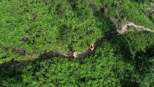 两名女性朋友在热带雨林的山坡上跑超级马拉松的鸟瞰图，4k