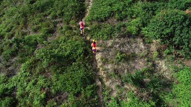 两名女性朋友在热带雨林的山坡上跑超级马拉松的鸟瞰图，4k