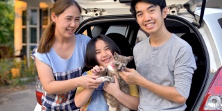 快乐的亚洲家庭坐在车上，玩可爱的小猫