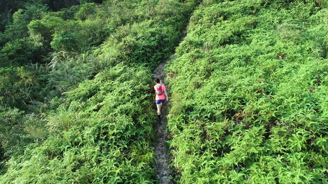 一位超级马拉松选手在热带雨林的山坡上奔跑的鸟瞰图，4k