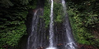 美丽的热带瀑布之间的绿色植物在巴厘岛，印度尼西亚