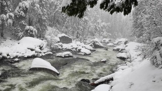 优山美地国家公园的雪景视频素材模板下载