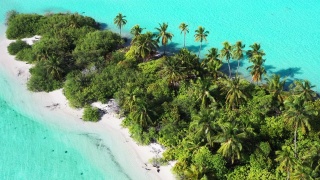 马尔代夫群岛鸟瞰图视频素材模板下载