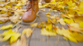 一个穿着皮鞋的年轻人正沿着一条落叶小径走着。视频素材模板下载