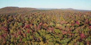 空中秋天的颜色在秋天的森林，魁北克，加拿大