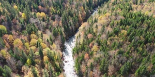 鸟瞰图的北方森林自然和河流在秋季