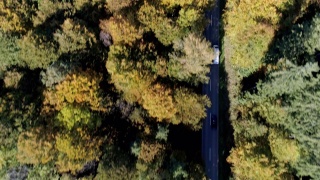 秋天里，货车在森林路上行驶视频素材模板下载