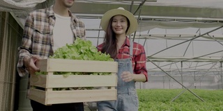 亚洲农民夫妇正高兴地走着，看着种植蔬菜的水培地。并收集食物，不含毒素农药的概念，保健和吃健康的食品