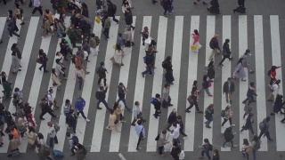 慢镜头鸟瞰日本涉谷拥挤的行人。视频素材模板下载