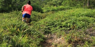 女子超级马拉松运动员在热带雨林的山坡上奔跑，慢镜头