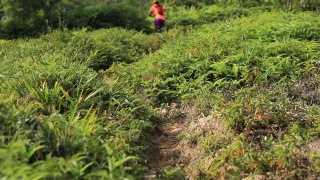 两名女子超级马拉松选手在热带雨林的山坡上奔跑，慢镜头视频素材模板下载