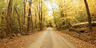 新罕布什尔州苏纳皮湖地区的秋天路