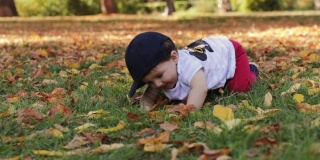 美丽的秋日，可爱的小男孩在公园里爬行