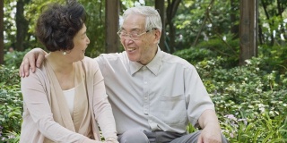 轻松快乐的中国老年夫妇在公园外聊天