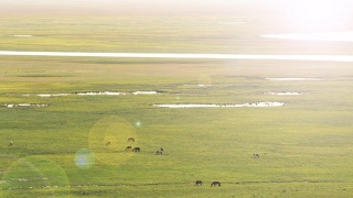 美丽的中国新疆巴音布鲁克草原视频素材模板下载