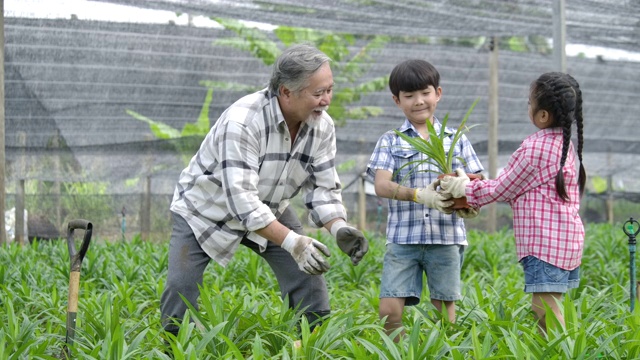 孙辈和爷爷一起在他的花园里种一棵新树，孩子扶着植物，爷爷扶着铁锹。