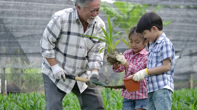 孙辈和爷爷一起在他的花园里种一棵新树，孩子扶着植物，爷爷扶着铁锹。
