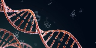 黑色背景上的螺旋状DNA链
