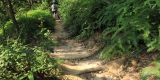 女自行车手越野自行车在热带雨林