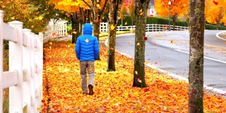 人走在人行道上，秋叶飘落