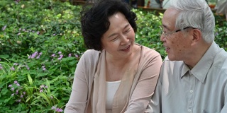 一对深情的中国老年夫妇在公园聊天