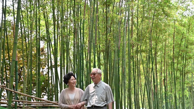 一对中国老年夫妇走过竹林