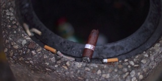 一个昂贵的雪茄烟头躺在垃圾堆边上