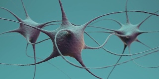 神经元簇信号传递