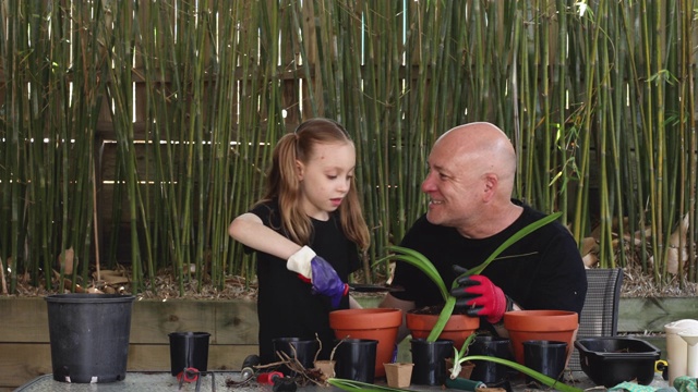 快乐的父亲和女儿一起园艺