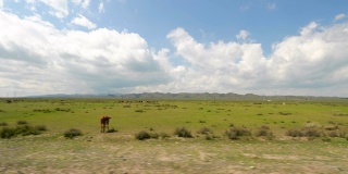 穿越中国新疆草原的公路旅行