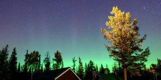 北极光，加拿大贾斯帕国家公园木屋上的北极光