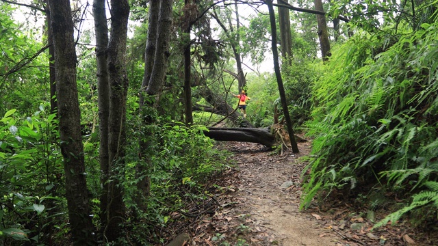 在热带森林中跑步的女子，跳过由超级台风造成的倒下的树木，中国