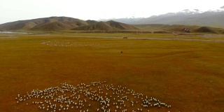 新疆独库公路旁牧场鸟瞰图