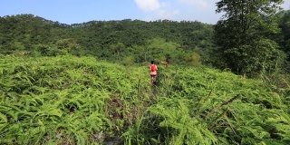 两名女子跑步者在热带森林的山坡上跑下坡，慢动作