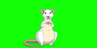 小白鼠坐着笑，动画色度键