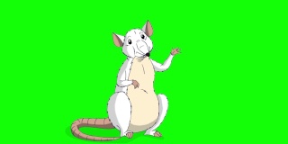 白色老鼠问候和挥舞它的爪子动画色度键