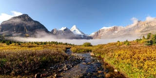 阿西尼博因山的风景与雾和河流在加拿大阿尔伯塔金色的田野流动