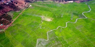 鸟瞰图，河流蜿蜒穿过大型水稻种植场