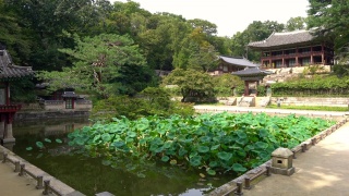 韩国首尔昌德宫的Huwon秘密花园，可以看到Buyongji池塘和Juhamnu亭视频素材模板下载