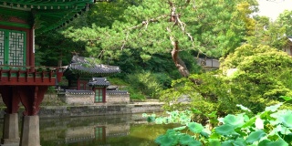 韩国首尔昌德宫的Huwon秘密花园景观，可以看到北池和北亭