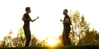 两个男人在公园里练武术