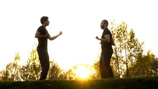 两个男人在公园里练武术视频素材模板下载