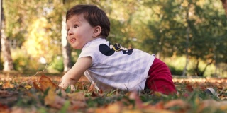 在美丽的秋日里，一个快乐的小男孩在公园里爬行