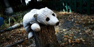 玩具熊在黑暗的后院的木头上，悲伤的童年回忆，可怕的噩梦