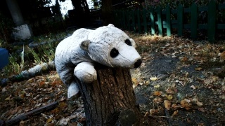 玩具熊在黑暗的后院的木头上，悲伤的童年回忆，可怕的噩梦视频素材模板下载