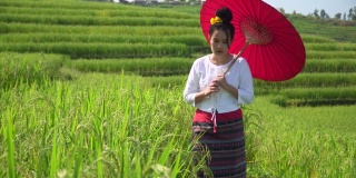 美丽的泰国年轻女子走在稻田里